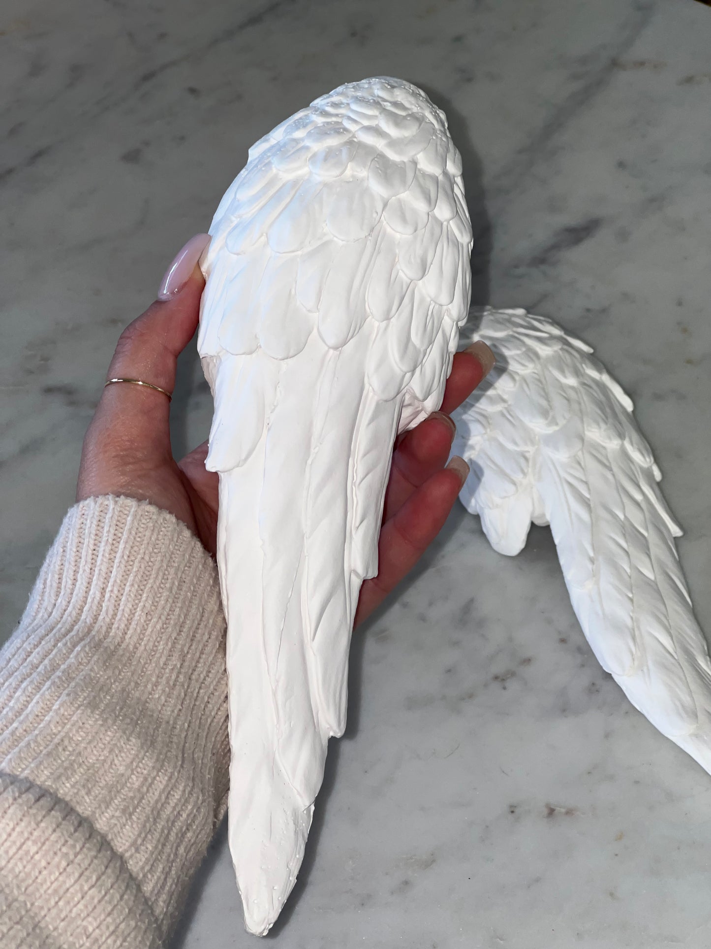 Angel Wing Set