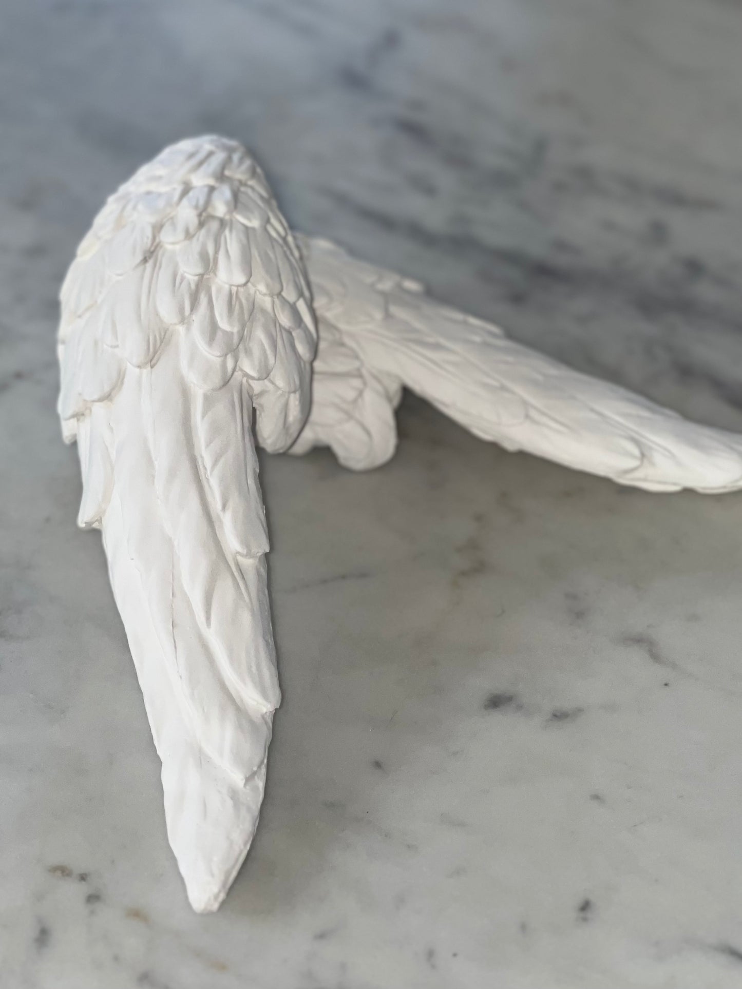 Angel Wing Set