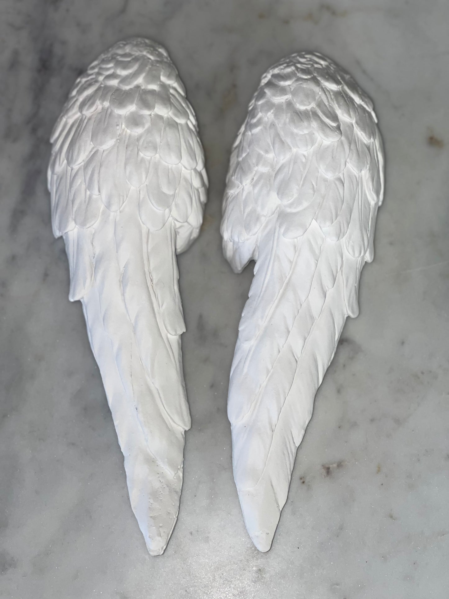 Angel Wing Set